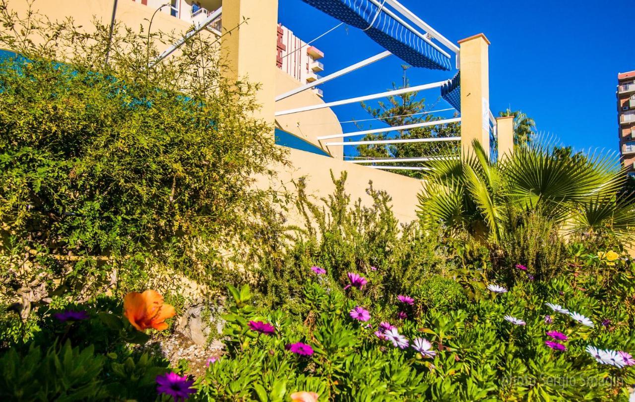 Apartament 427 Estudio En Minerva -vista Al Jardin - Piscina Y Playa *
