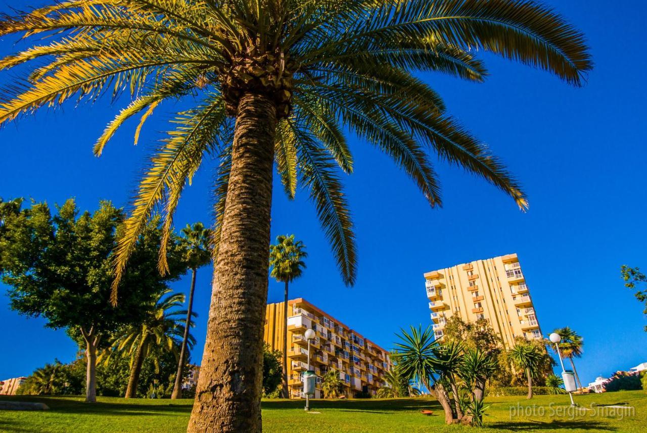 Apartament 427 Estudio En Minerva -vista Al Jardin - Piscina Y Playa