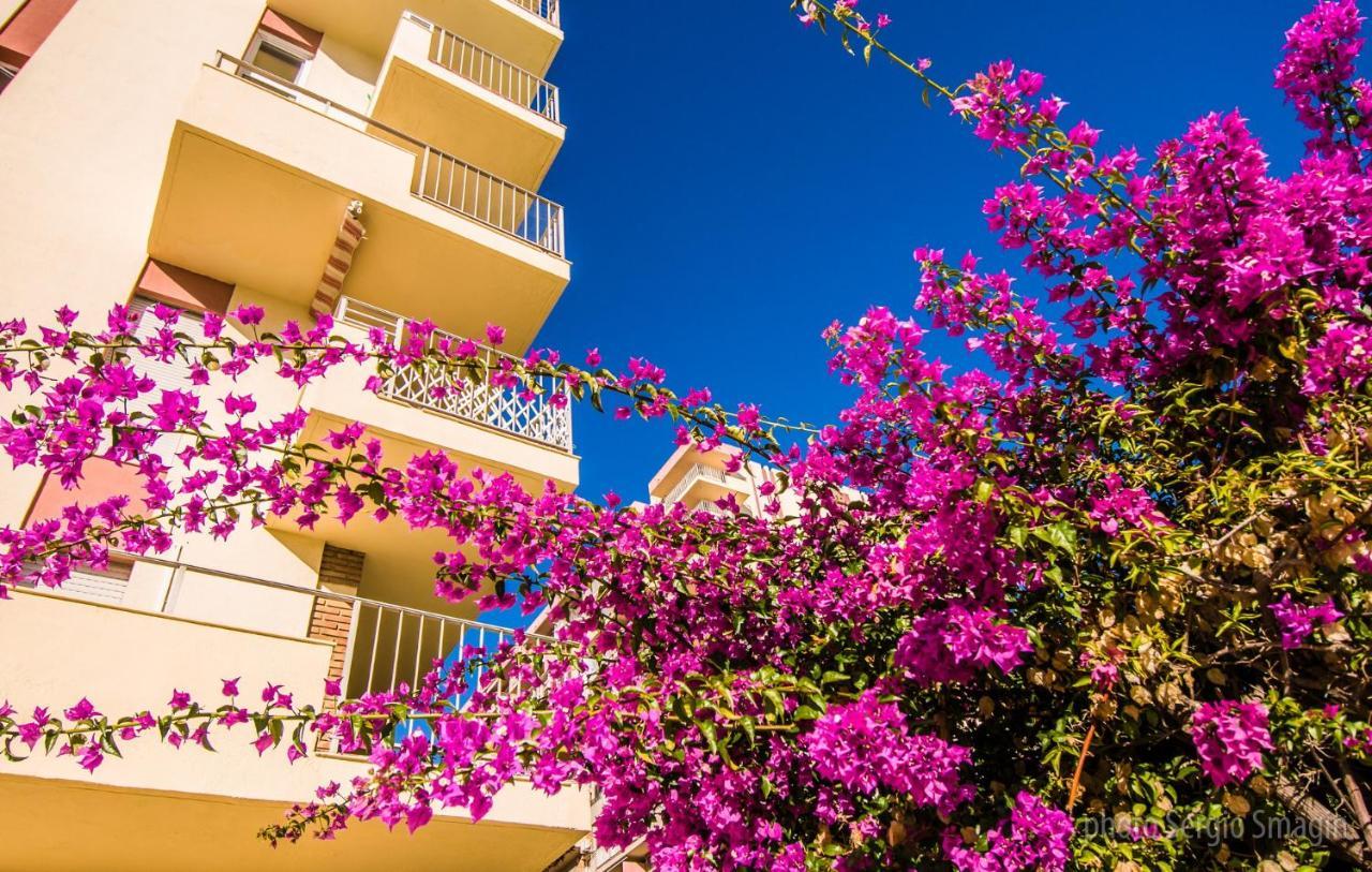 Apartament 427 Estudio En Minerva -vista Al Jardin - Piscina Y Playa