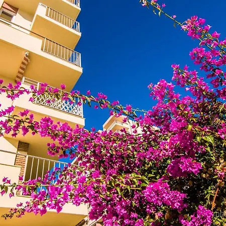 427 Estudio En Minerva Apartamentos -Vista Al Jardin - Piscina Y Playa Benalmádena Buitenkant foto